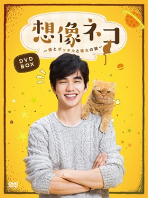 想像ネコ~僕とポッキルと彼女の話~ DVD-BOX 想像ネコ~僕とポッキルと彼女の話~ DVD-BOX