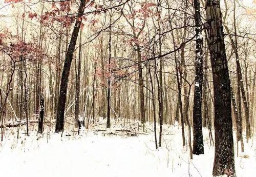 TOWER RECORDS ONLINE㤨Aaron Martin/Worried About The Fire[EXPCD012]פβǤʤ2,490ߤˤʤޤ