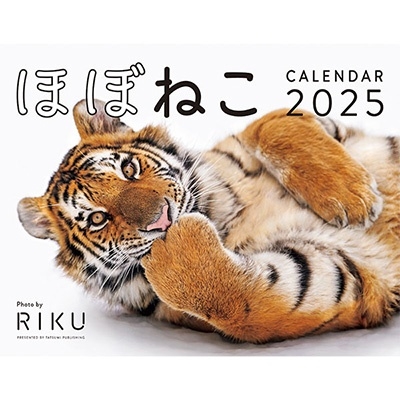 2025 ほぼねこカレンダー 2025 ほぼねこカレンダー