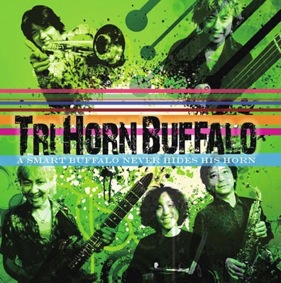 A SMART BUFFALO NEVER HIDES HIS HORN A SMART BUFFALO NEVER HIDES HIS HORN