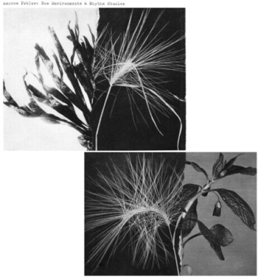 New Environments And Rhythm Studies