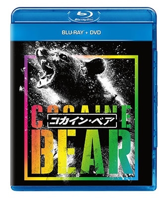 ꥶ٥Х󥯥/󡦥٥ Blu-ray Disc+DVD[GNXF-2892]