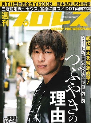 週刊プロレス 2018年10月31日号