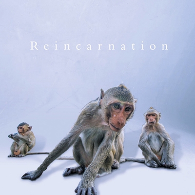 NEVERLAND (奢)/Reincarnation CD+DVDϡס[PCM-238A]