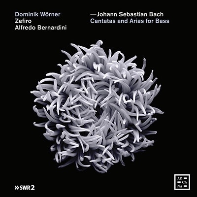 ドミニク・ヴェルナー/J.S.バッハ： バス独唱とオーボエのための教会カンタータ集[A466]
