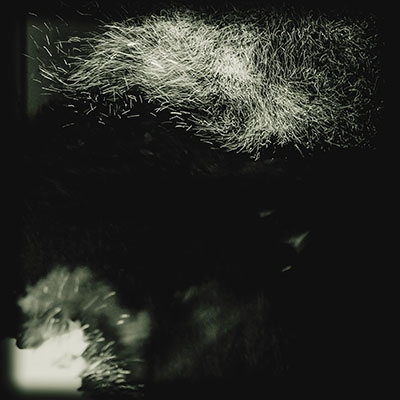 Fall Into The Light/Pilgrim