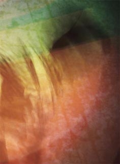 Go Quiet<限定盤> Go Quiet<限定盤>