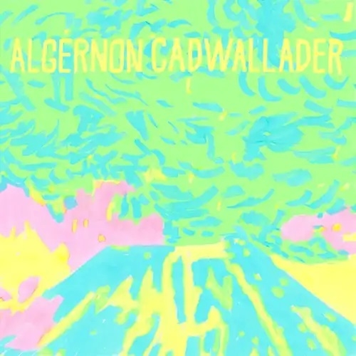 TOWER RECORDS ONLINE㤨Algernon Cadwallader/Trying Not to Have a ThoughtOpaque Yellow Vinyl[LPLBJ400IE]פβǤʤ5,990ߤˤʤޤ
