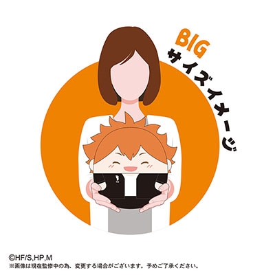 ハイキュー!! ふわコロりんBIG スペシャルB 影山飛雄