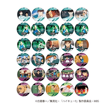 ハイキュー!! トレーディング場面写缶バッジ(4)青葉城西・伊達工・白鳥