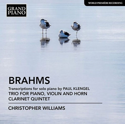 ꥹȥեꥢॺ (Piano)/Brahms Transcriptions for Solo Piano by Paul Klengel[GP749]