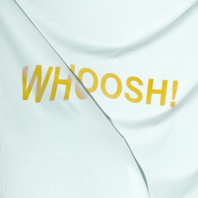 TOWER RECORDS ONLINE㤨The Stroppies/Whooshס[TLV119LPX]פβǤʤ3,590ߤˤʤޤ
