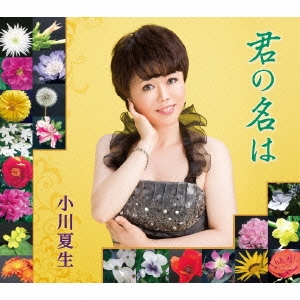 君の名は/万世橋トワイライト/オリンピックがやって来る