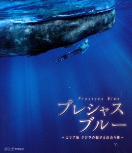 プレシャスブルー ～カリブ海 クジラの親子と出会う旅～