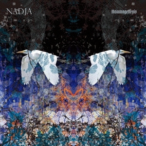 サーモジェネシス／サーモレイディアンス