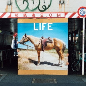 フジファブリック / A DAY IN THE LIFE (LP)