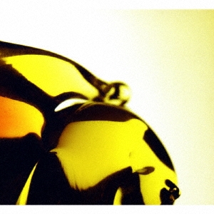 トゥルー・ラブズ