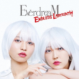 ENDLESS LABYRINTH ［CD+DVD］