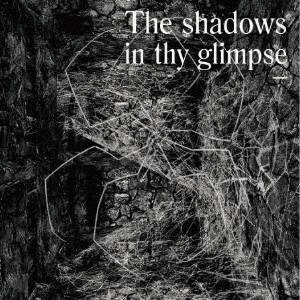 John Heckle/The Shadows In Thy Glimpse Bedouin Records Selected Discography 2016-2018[SRSW-496]