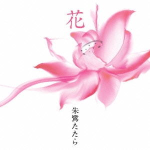 花 ～篠笛とピアノが紡ぐ花のうたうた～