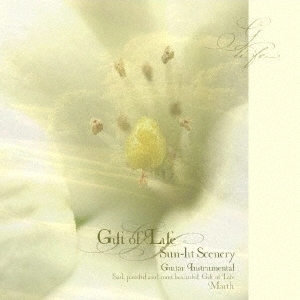 こもれびの風景