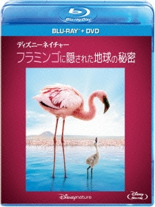 ディズニーネイチャー/フラミンゴに隠された地球の秘密 ［Blu-ray Disc+DVD］