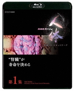 NHKスペシャル 人体 神秘の巨大ネットワーク 第1集 "腎臓"が寿命を決める