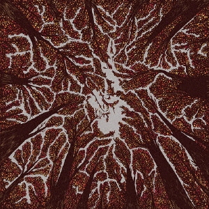 Trash Boat/Crown Shyness[EKRM-1378]