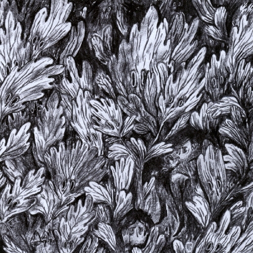 TOWER RECORDS ONLINE㤨Go! Zilla/Grabbing a Crocodile[FLAKES-103]פβǤʤ2,037ߤˤʤޤ