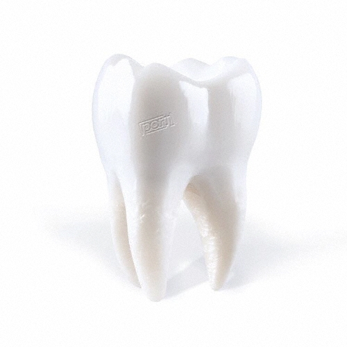 Porij/TEETHING㴰/ָס[NPCC-3204]