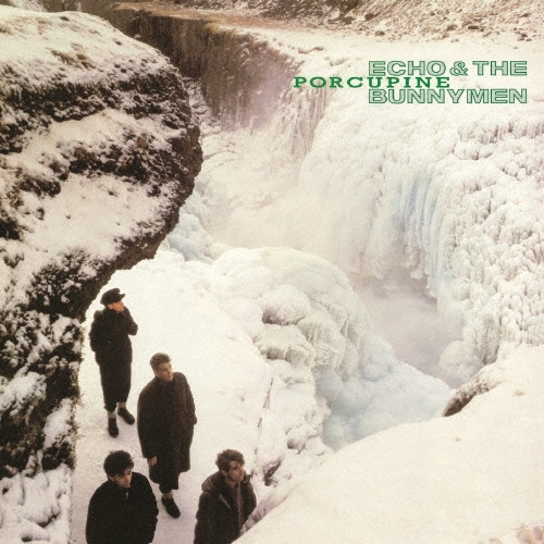 ポーキュパイン(やまあらし)