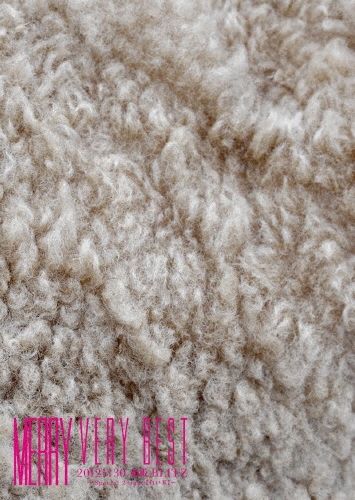 ꡼/MERRY VERY BEST 20121130 ֺBLITZ Special 2night ӡۡ[SFBD-40]