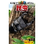 学研の図鑑LIVEポケット 昆虫