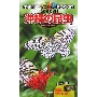 学研の図鑑LIVE ポケットSpecial 沖縄の昆虫