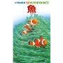 小学館の図鑑 NEO POCKET -ネオぽけっと- 魚