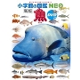 小学館の図鑑NEO〔新版〕 魚 DVDつき DVDつき ［BOOK+DVD］