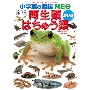 小学館の図鑑NEO〔新版〕 両生類・はちゅう類 DVDつき ［BOOK+DVD］