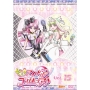 キミとアイドルプリキュア♪ vol.15