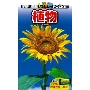 学研の図鑑LIVEポケット 植物