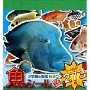 小学館の図鑑NEO 魚シール