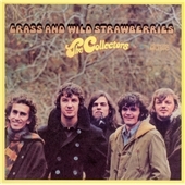 Grass And Wild Strawberries