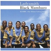 Ilembe (Our Tribute To King Shaka)