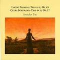 Louise Farrenc, Clara Schumann: Trios / Streicher Trio