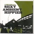 17 Hippies Play Sexy Ambient Hippies