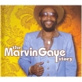 The Marvin Gaye Story