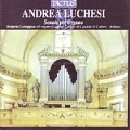 Andrea Lucchesi: Sonate per Organo