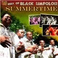 Best Of Black Umfolosi : Summertime