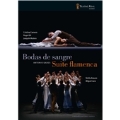 Antonio Gades: Bodas de Sangre, Suite Flamenca