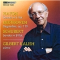 Gilbert Kalish Plays Haydn, Beethoven and Schubert
