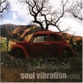 Soul Vibration Vol.2